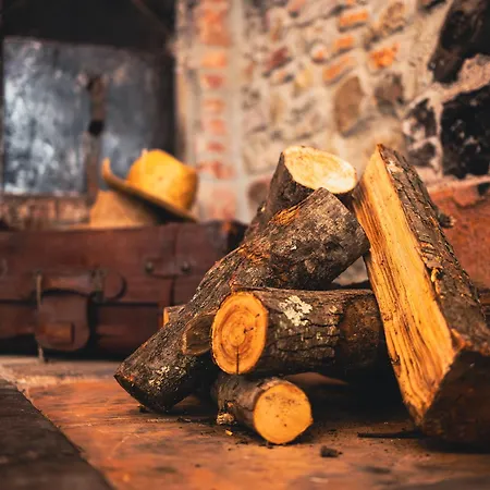 Oda ve Kahvaltı Podere Rondinaio Lamporecchio