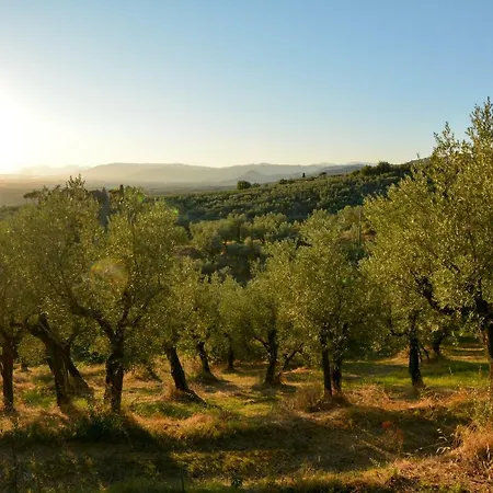 Podere Rondinaio Bed & Breakfast